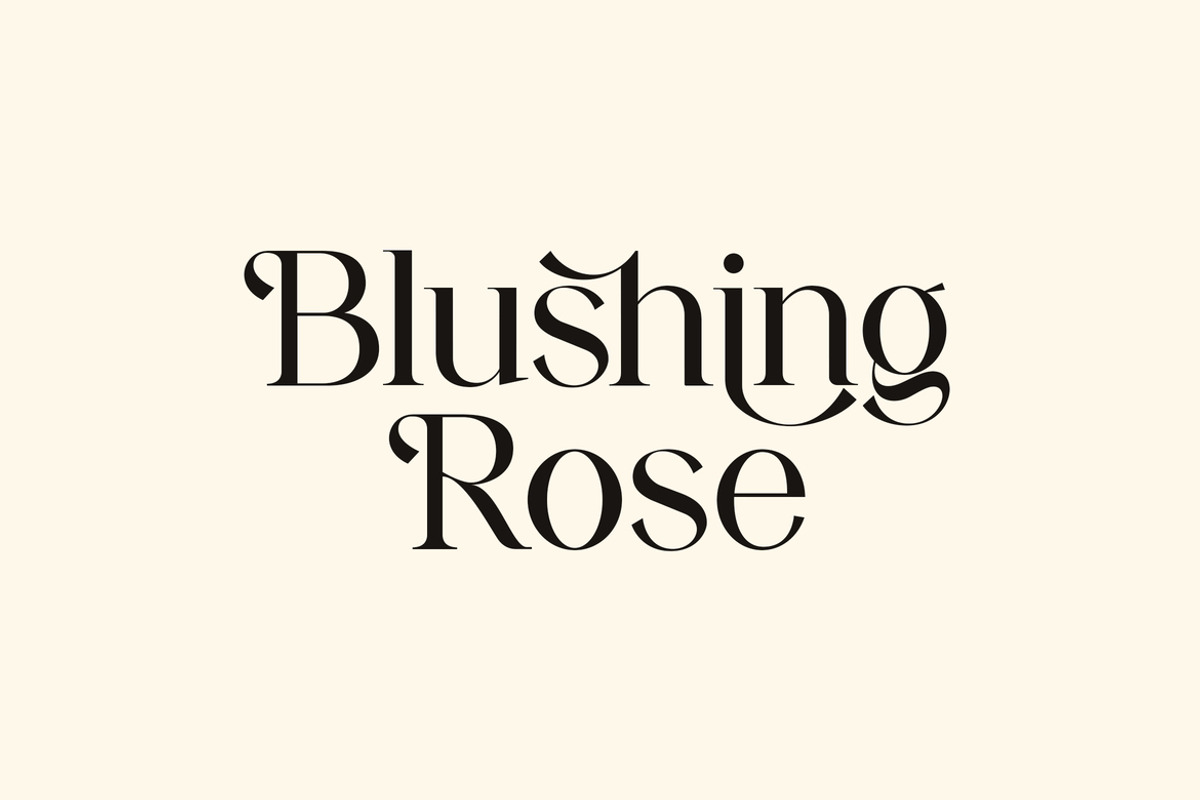 Candlefish Stylish Modern Serif Font, a Serif Font by UICreative (Photo 6 of 13)