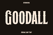 Goodall - Serif Display Font Duo, a Serif Font by Luna Shop (Thumbnail 1 of 7)