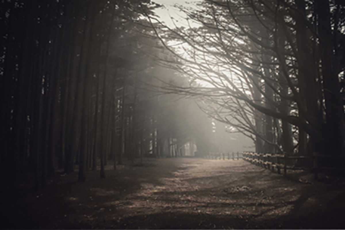 Cinematic Film - Lightroom Presets, a Plug-in Add-On by Jayson Photos (Photo 8 of 8)