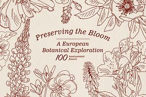 Preserving the bloom 100 flowers