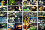 150 Photos + Bonus, a Templates & Theme by alyaphotoworks (Thumbnail 2 of 5)