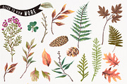 Hand drawn autumn collection, an Illustration by Graphic Box (Thumbnail 4 of 5)