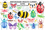 Insects Watercolor Clipart Png, an Illustration by Dream Creation (Thumbnail 1 of 7)