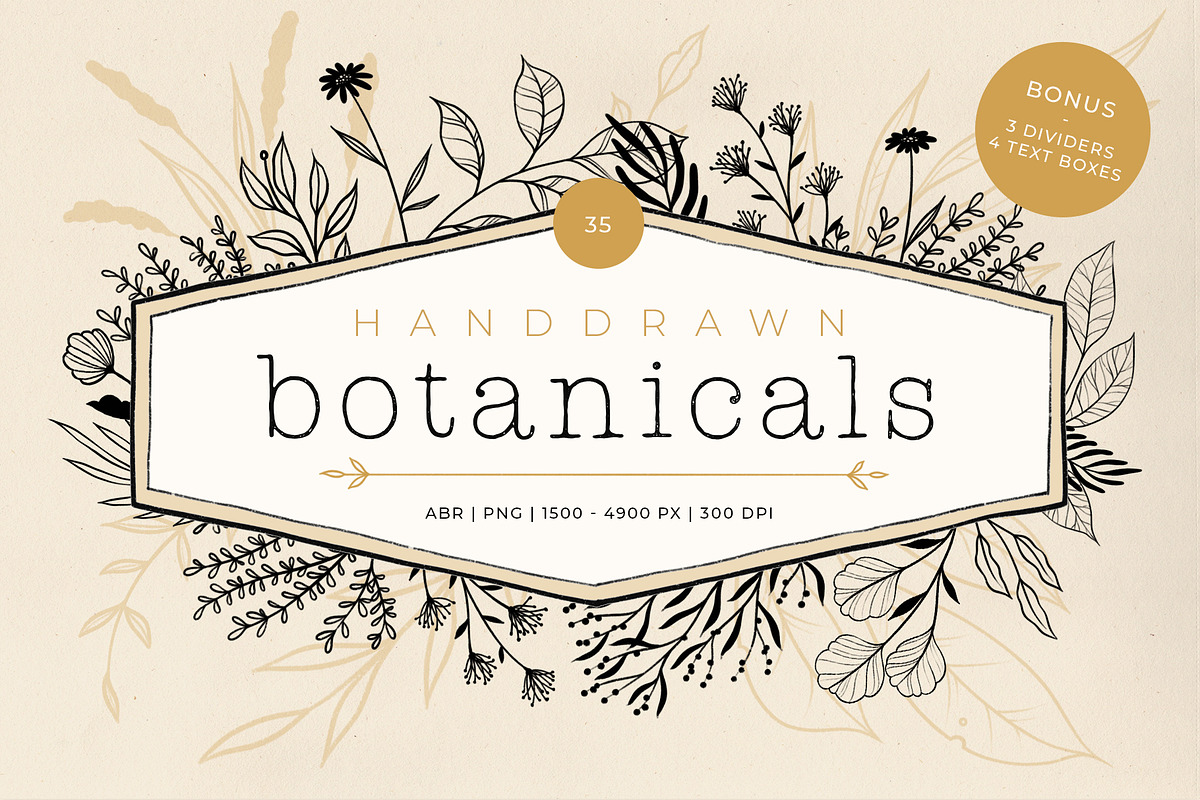 Handdrawn Botanicals, an Illustration by Ramona Schratt (Photo 1 of 8)