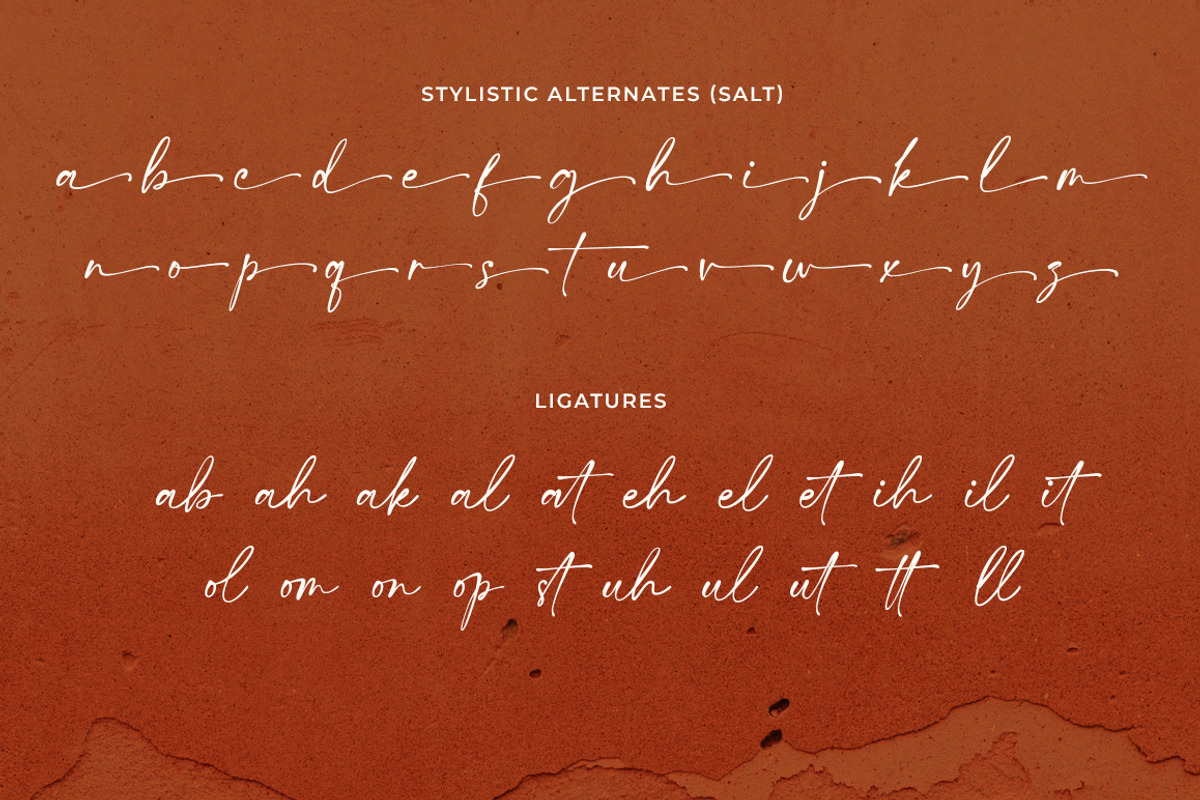Ristomale Signature, a Font by Haps Space (Photo 8 of 8)