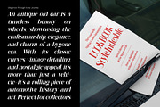 Whispering Beadows Modern Serif, a Serif Font by timelesstype.co (Thumbnail 9 of 10)