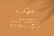 Zaslia - Elegant Ligature Serif, a Serif Font by suhadidesign (Thumbnail 13 of 14)