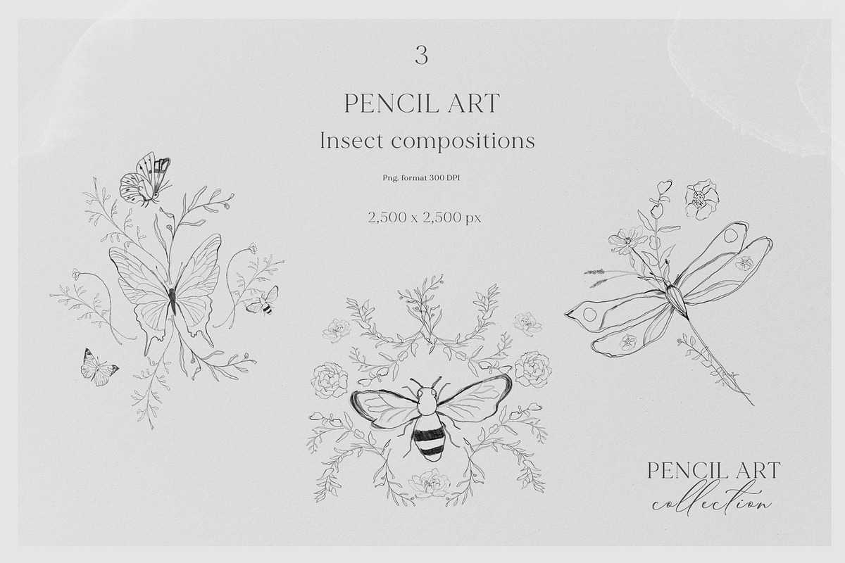 PENCIL ART- Floral line collection, an Illustration by Grace Noboa Illustrations (Photo 11 of 12)