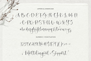 Winter Fantasy - Calligraphy Font