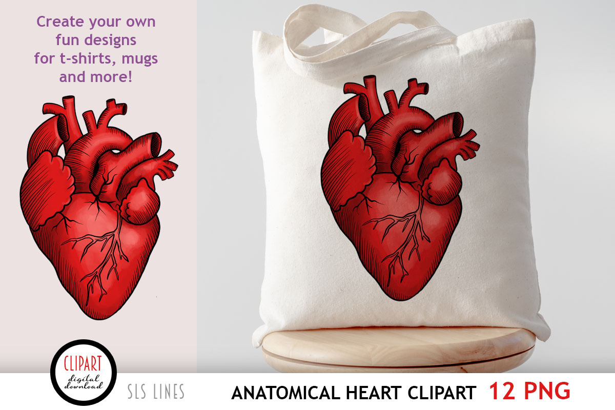 Anatomical Heart Clipart, an Illustration by SLS Lines (Photo 4 of 5)
