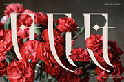 Fragilità - A Retro Ligature Serif, a Serif Font by SilverStag Type Foundry (Thumbnail 5 of 26)