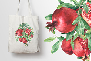 Pomegranate Watercolor Collection