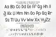 Simple Choconut, a Serif Font by FreshTypeINK (Thumbnail 5 of 7)
