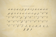 Whispers — Elegant Calligraphy Font, a Script Font by Krismagraph (Thumbnail 7 of 10)