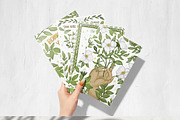 Cherokee rose clipart pattern set, a Decorative Illustration by Yelloo Fish (Thumbnail 13 of 21)