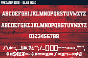 Predator 0316 - Full Family, a Sans Serif Font by Eargle Design, LLC (Thumbnail 14 of 20)