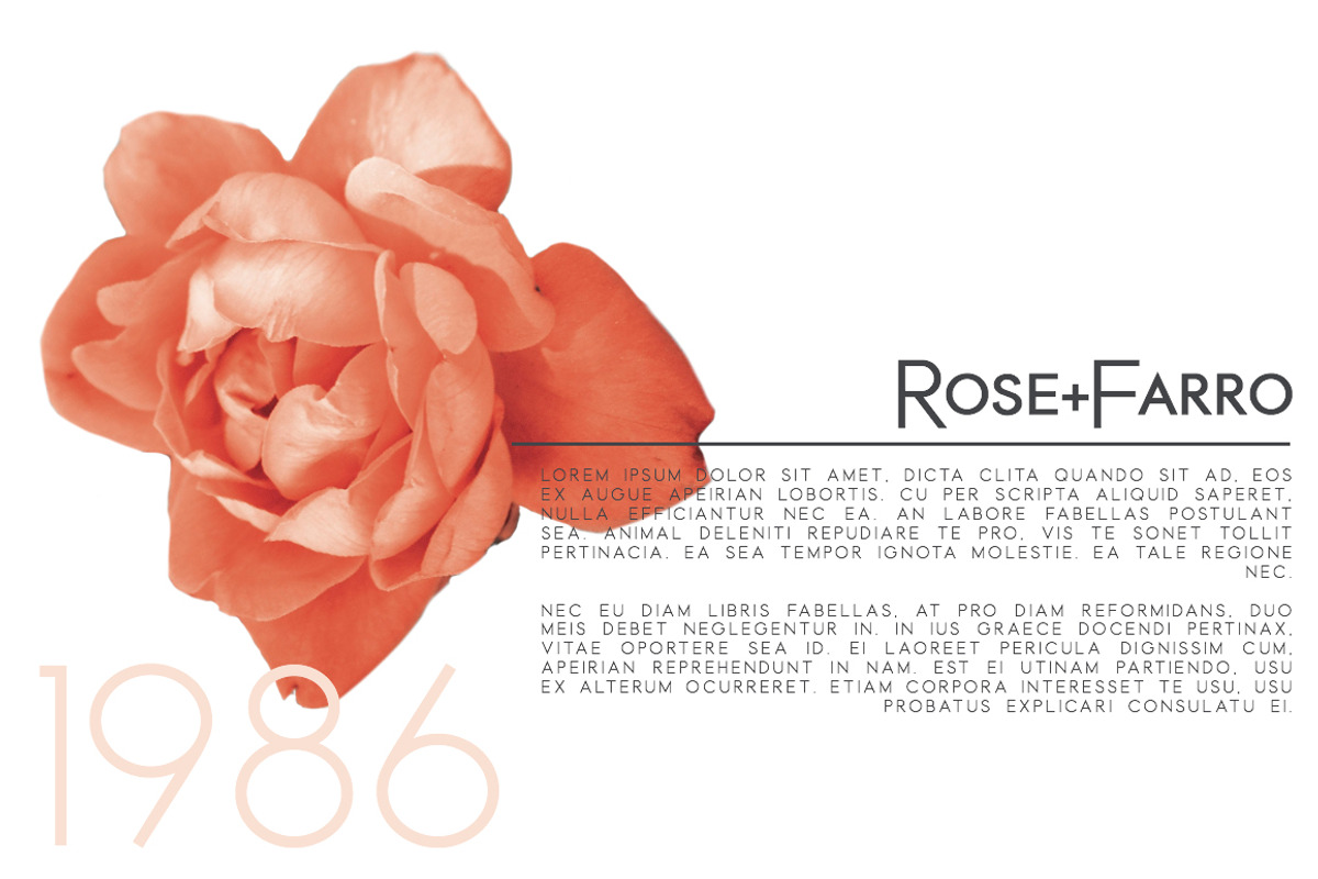 Rome | A Stunning Sans Serif preview 5