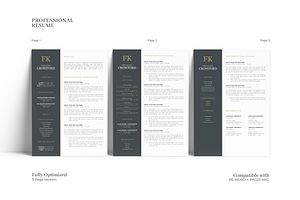 Stylish Resume Design Template