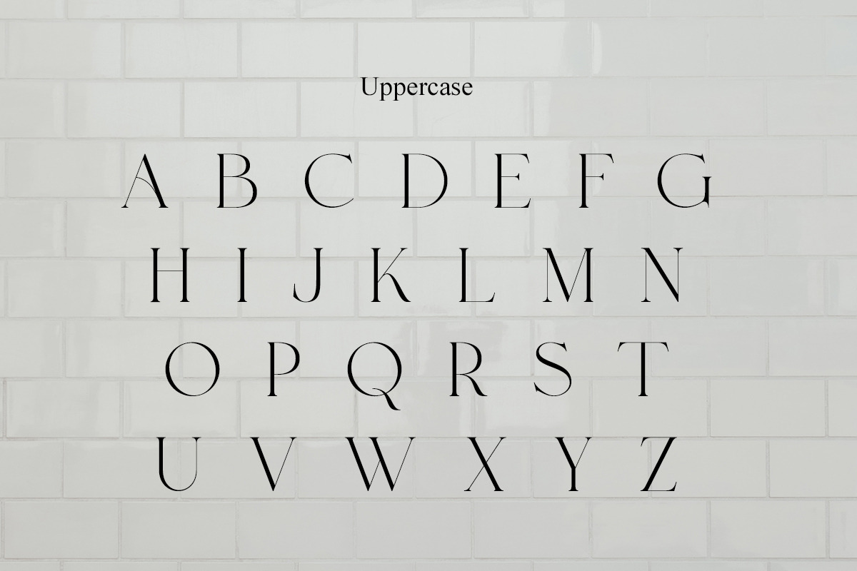 Roylles | Ligature Stylish, a Serif Font by Muntab_Art (Photo 9 of 13)