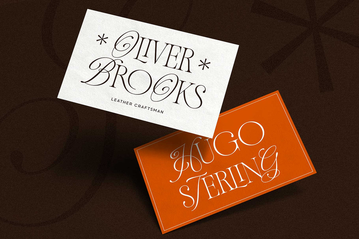 Andiena Bielsa - Hybrid Serif, a Serif Font by Arterfak Project (Photo 7 of 12)