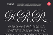 Delirian Script & Ornaments, a Script Font by Andrey Sharonov (Thumbnail 8 of 16)