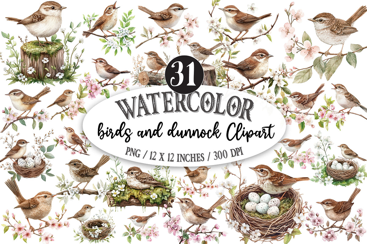 Birds and dunnock Clipart, a Seasonal Illustration by Designking (Photo 1 of 5)