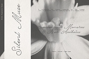 Something Else Textured Script, a Script Font by AnMark (Thumbnail 3 of 10)