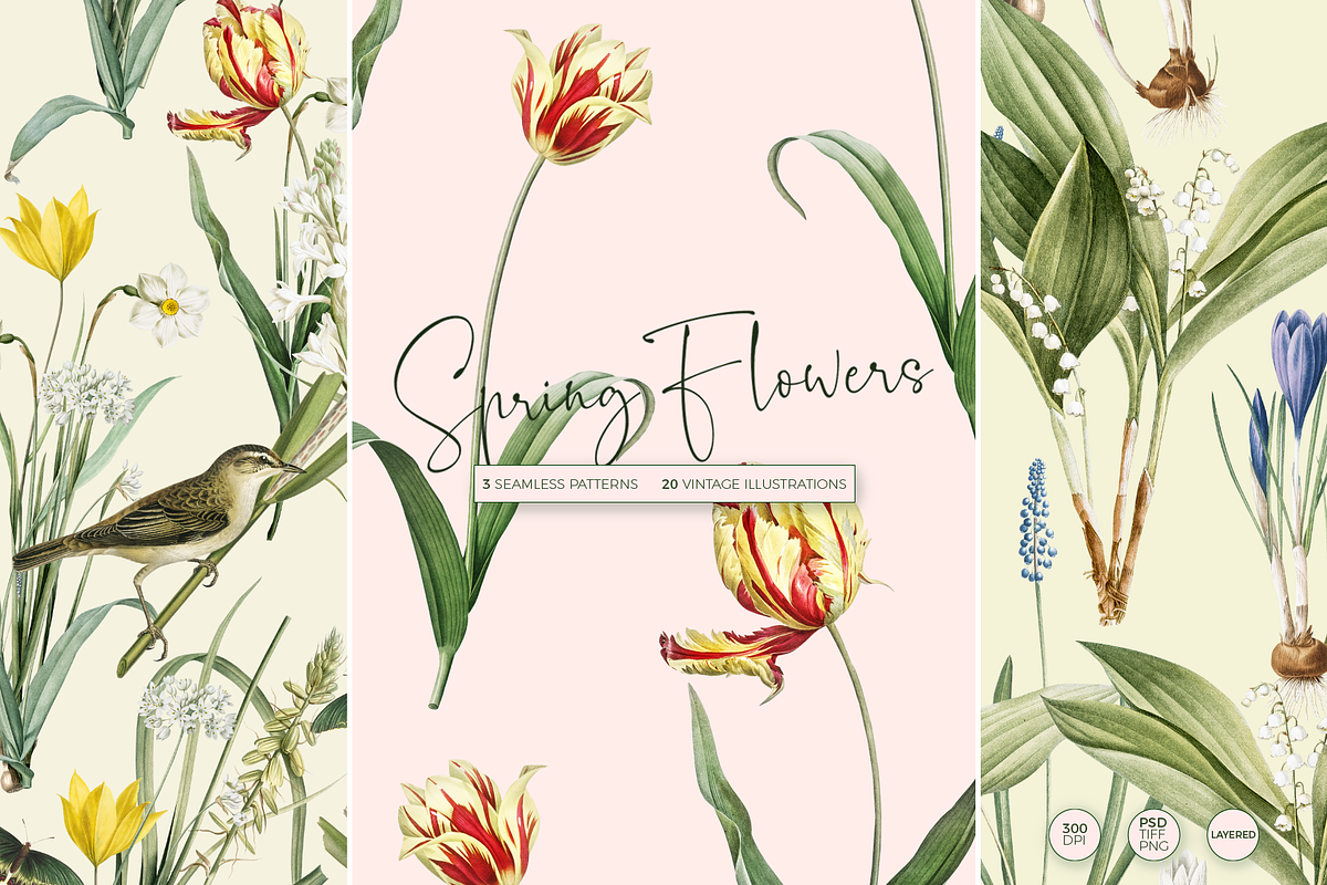SPRING FLOWERS SEAMLESS PATTERNS, a Pattern Graphic by Splash! (Photo 1 of 10)