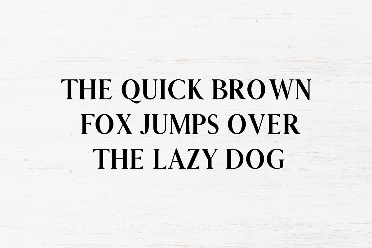 Carolin Duo 5 Font Family Pack preview 5