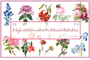 Watercolor botanical flowers, a Decorative Illustration by ivanushka-art (Thumbnail 5 of 5)