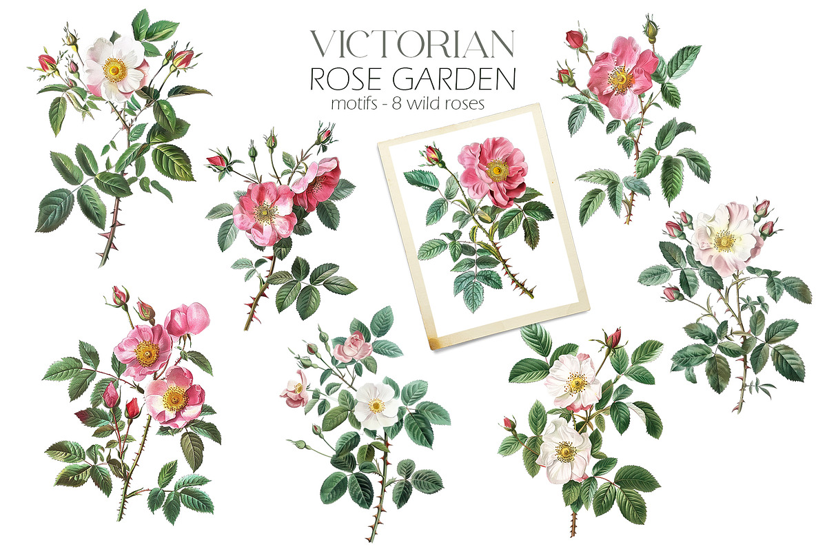Victorian Rose Garden, an Object Graphic by Elena Dorosh (Photo 4 of 15)