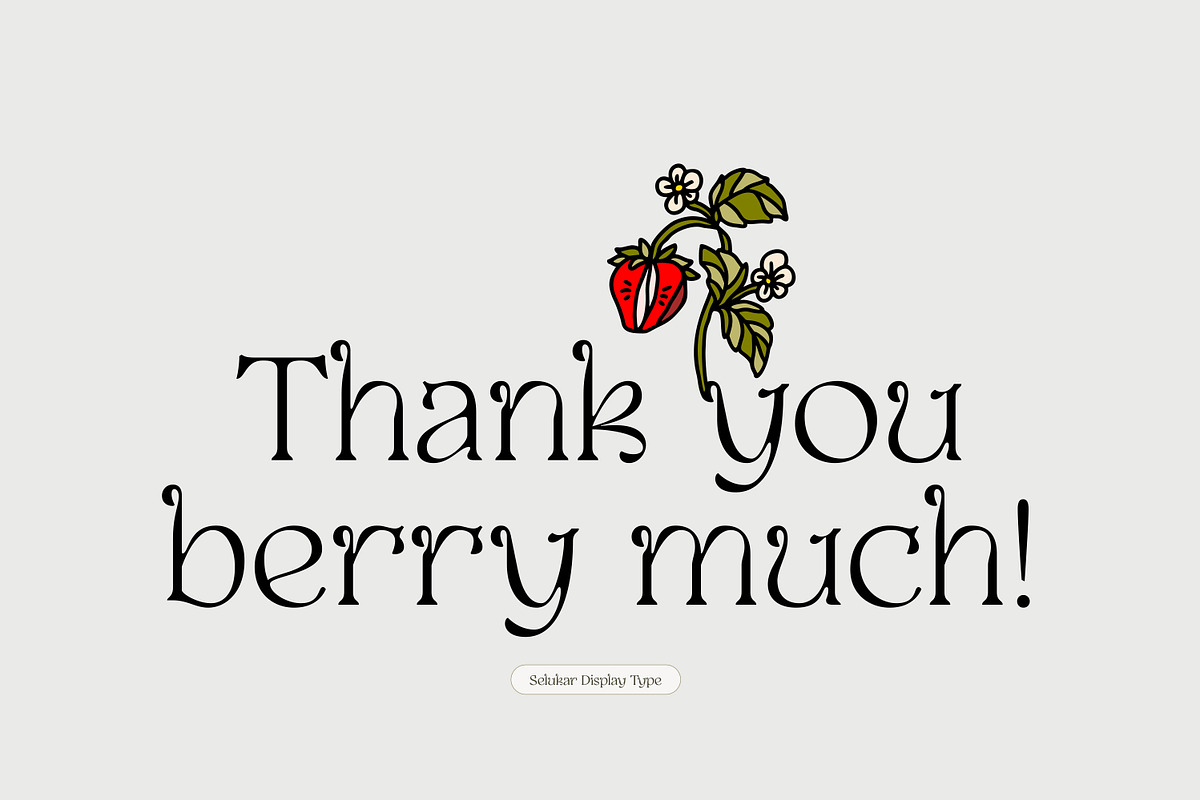 Selukar - Display Variable Font, a Serif Font by Artflorara (Photo 16 of 16)