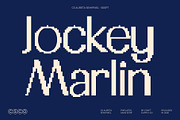 CS Aureta Semipixel, a Sans Serif Font by Craft Supply Co. (Thumbnail 4 of 8)