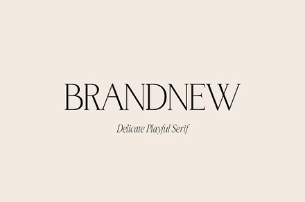 BrandNew Delicate Playful Serif, a Serif Font by BilberryCreates
