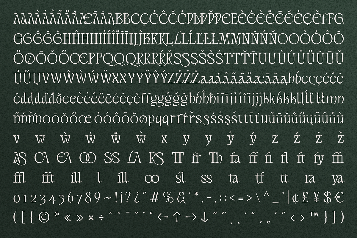Lamonela - Serif Display Font, a Serif Font by Typetemp Studio (Photo 21 of 21)