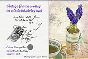 Essential Vintage French Graphics, a Graphic by French Kiss Collections (Thumbnail 9 of 30)