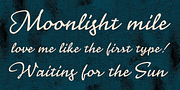 Nouvelle Vague, a Script Font by Anatoletype (Thumbnail 3 of 3)