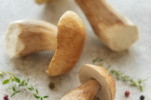 Fresh porcini mushrooms with thyme and peppercorns on gray backg, a Food & Drink Photo by Olena Rudo