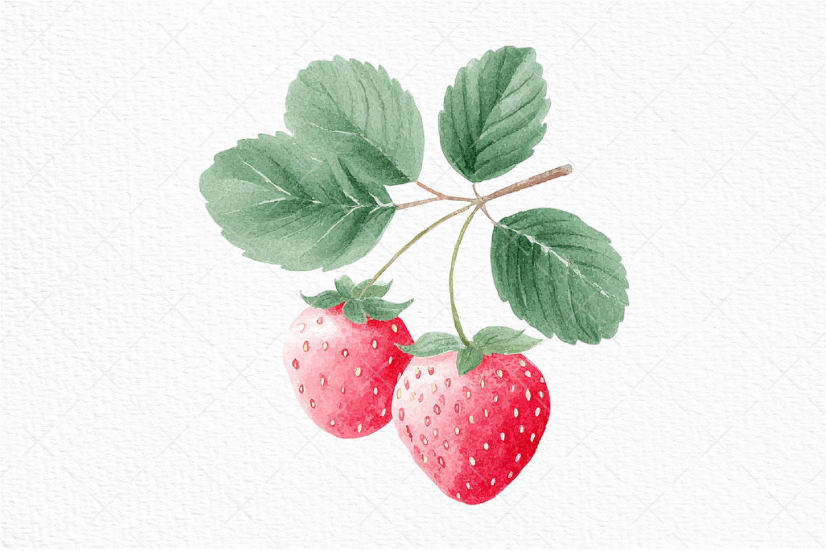 Strawberry Watercolor Clipart Set, an Illustration by Craft Nest (Photo 11 of 11)