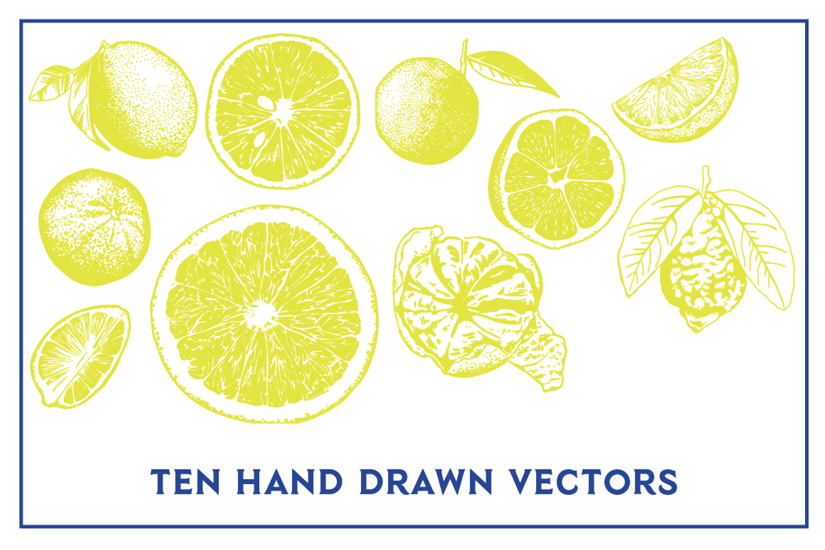 Vector Citrus Illustrations, an Illustration by Instinct Design Co (Photo 2 of 3)