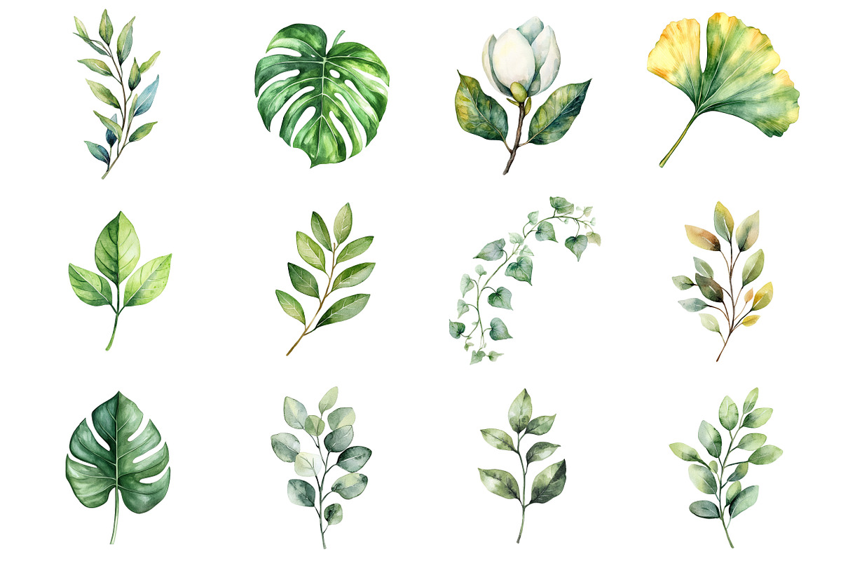 Watercolor Minimal Botanical, an Illustration by Design Market (Photo 2 of 3)