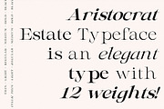 AristocratEstate - Luxury Serif Type, a Serif Font by HipFonts (Thumbnail 8 of 9)