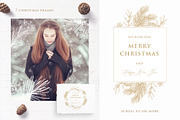 Christmas hand drawn set, a Decorative Illustration by Ekaterina (Thumbnail 5 of 16)