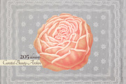 Vintage Museum Collage Elements Pack, an Object Graphic by Oksana Trygub (Thumbnail 29 of 29)