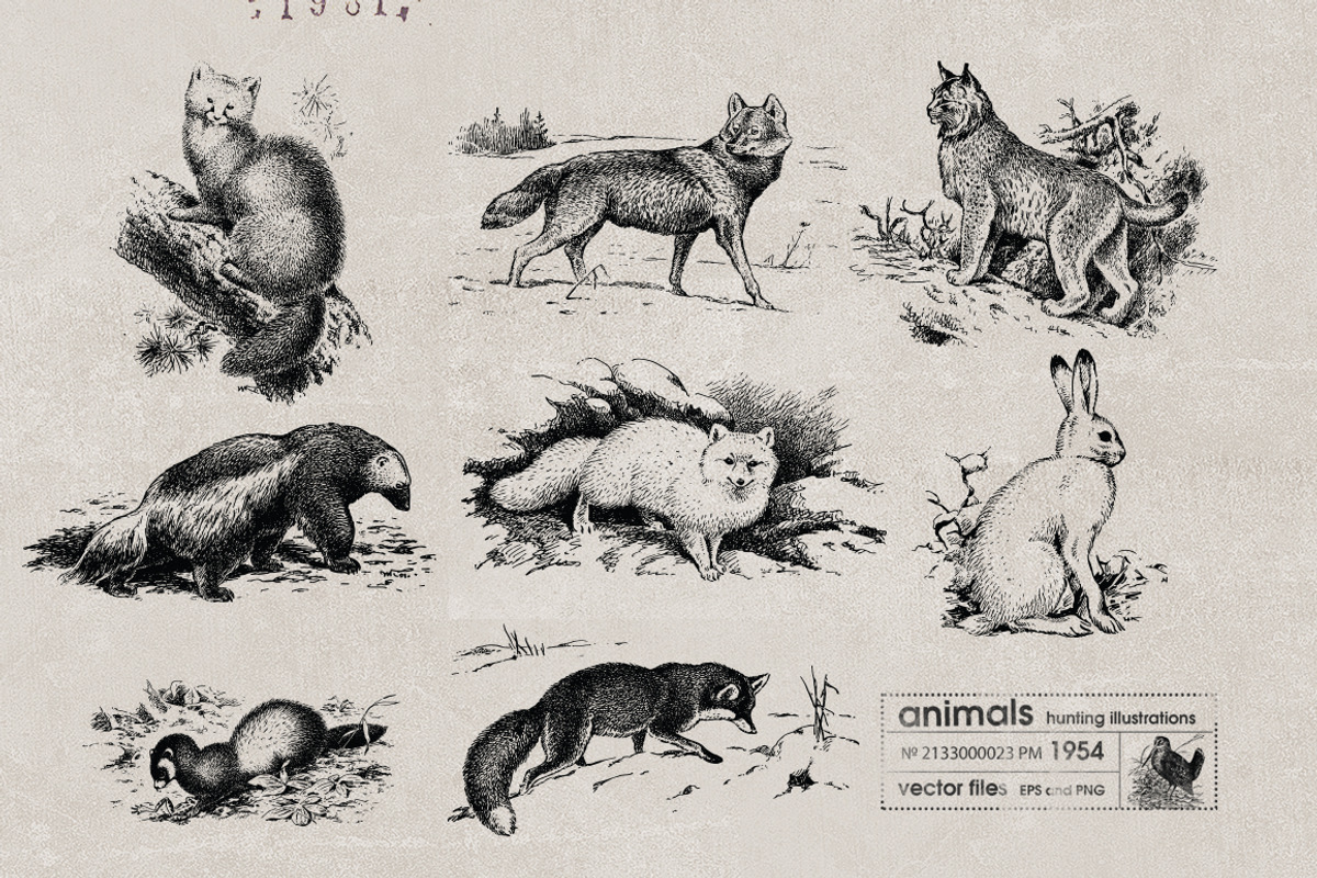 Vintage Bundle 2500+ Free Update, an Animal Illustration by Retro Machine (Photo 159 of 170)
