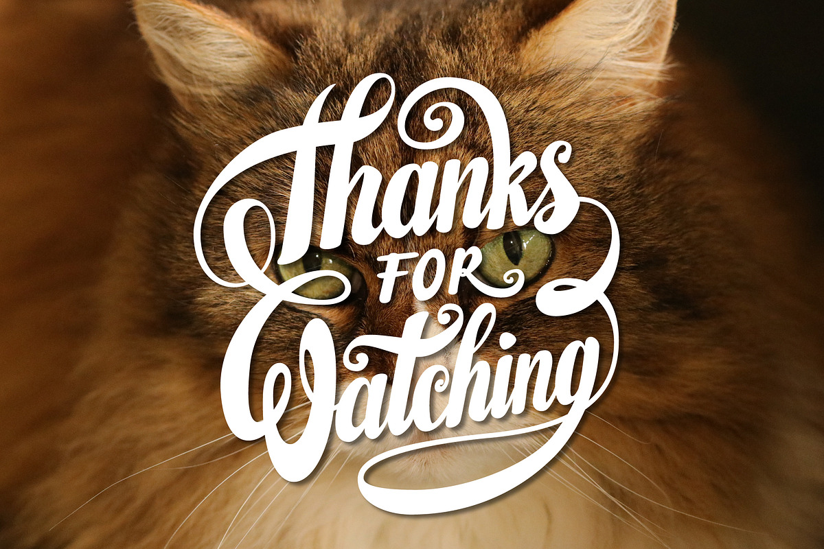 Thanks for Watching Lettering, an Illustration by Royaltype (Photo 2 of 3)