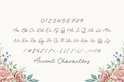 Rachel Bowie - Modern Monoline Font, a Script Font by Balpirick Studio (Thumbnail 6 of 7)