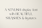 Stefania - font duo + more and more, a Script Font by VP Fonts (Thumbnail 2 of 29)