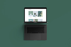 Cactus - WordPress Blog Theme