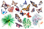 Beautiful watercolor butterflies, an Object Graphic by Knopazyzy (Thumbnail 2 of 5)